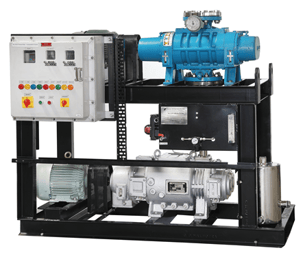 dry screw with booster