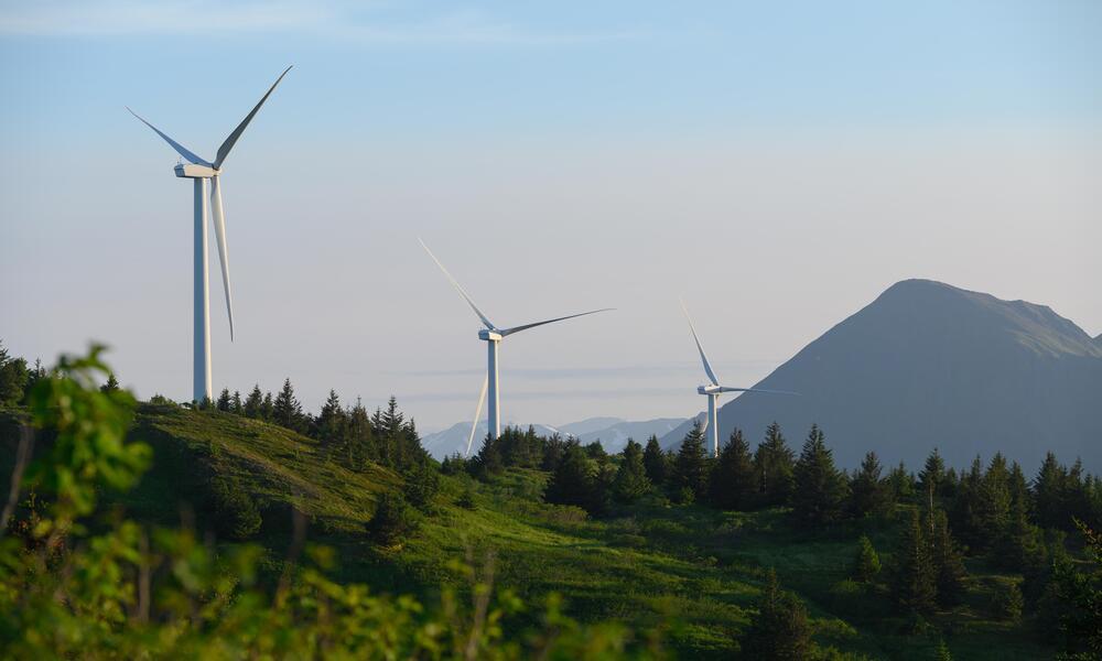 pillar-climate-action